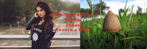 apvp Липки