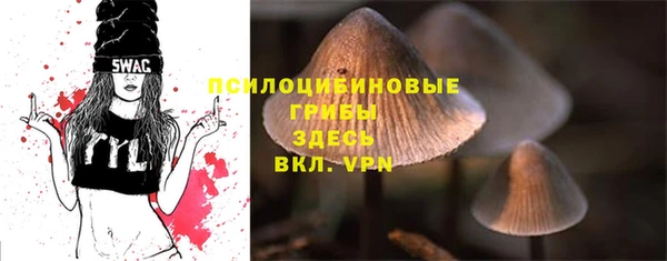apvp Липки