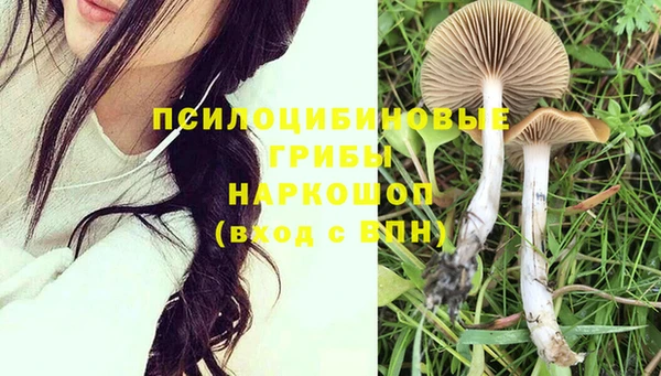apvp Липки