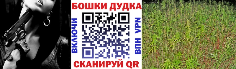 Бошки Шишки VHQ  Палласовка 